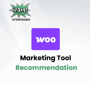 WooCommerce used as a marketing recommendation for eCommerce businesses