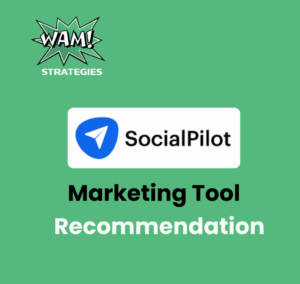 Dashboard showing SocialPilot for social media management with scheduling tools, analytics charts, and team collaboration features for businesses.
