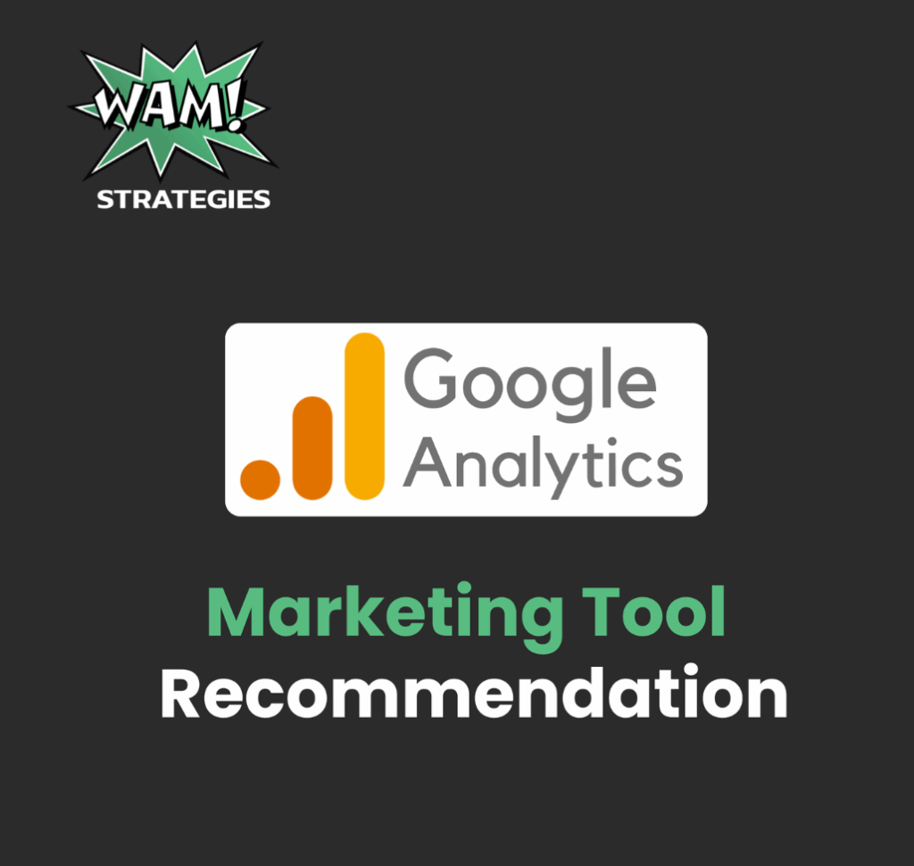 Business owner reviewing Google Analytics dashboard showing website traffic and conversion data to drive business growth.
